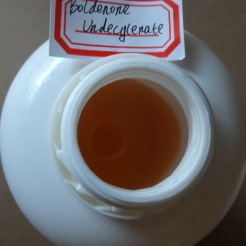 Polvere steroide equilibrata di Boldenone Undecylenate crudo CAS NO: 13103-34-9